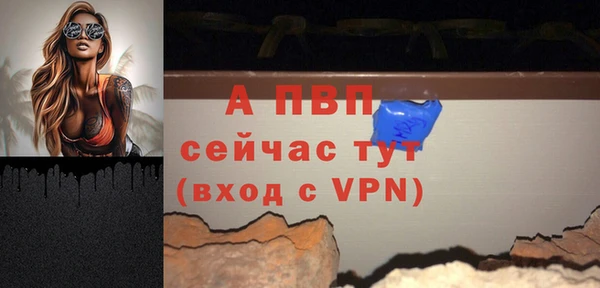 apvp Алексин