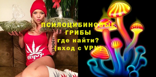apvp Алексин