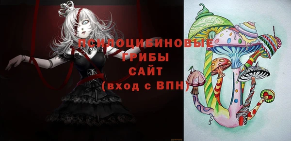 apvp Алексин