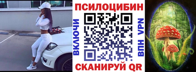 где можно купить   Добрянка  мориарти официальный сайт  Псилоцибиновые грибы Magic Shrooms 