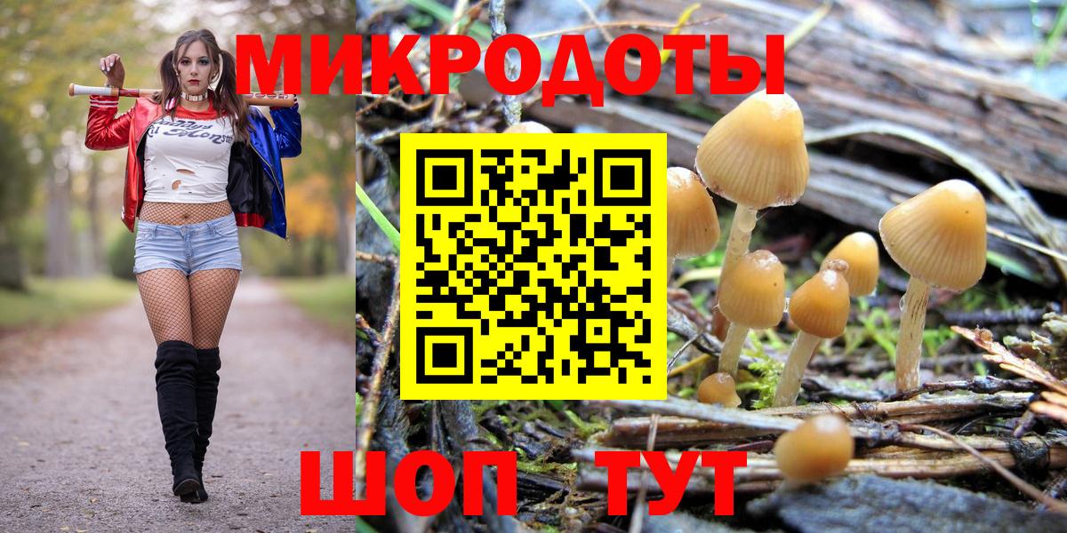 Псилоцибиновые грибы Magic Shrooms Добрянка